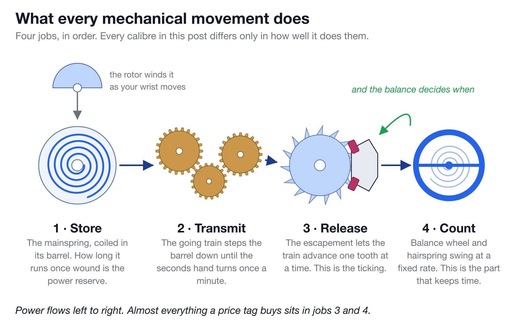 Diagram titled 'What every mechanical movement does', showing four stages left to right connected by arrows. Stage one, Store: a coiled blue mainspring inside a circular barrel, with a semicircular rotor above it winding it as the wrist moves. Stage two, Transmit: three interlocking brass gears. Stage three, Release: a pale blue escape wheel with pointed teeth meshing with a grey pallet fork carrying two pink jewels. Stage four, Count: a blue balance wheel with a fine hairspring spiral inside it. A green arrow curves back from the balance to the escapement, labelled 'and the balance decides when'. A caption reads 'Power flows left to right. Almost everything a price tag buys sits in jobs 3 and 4.'