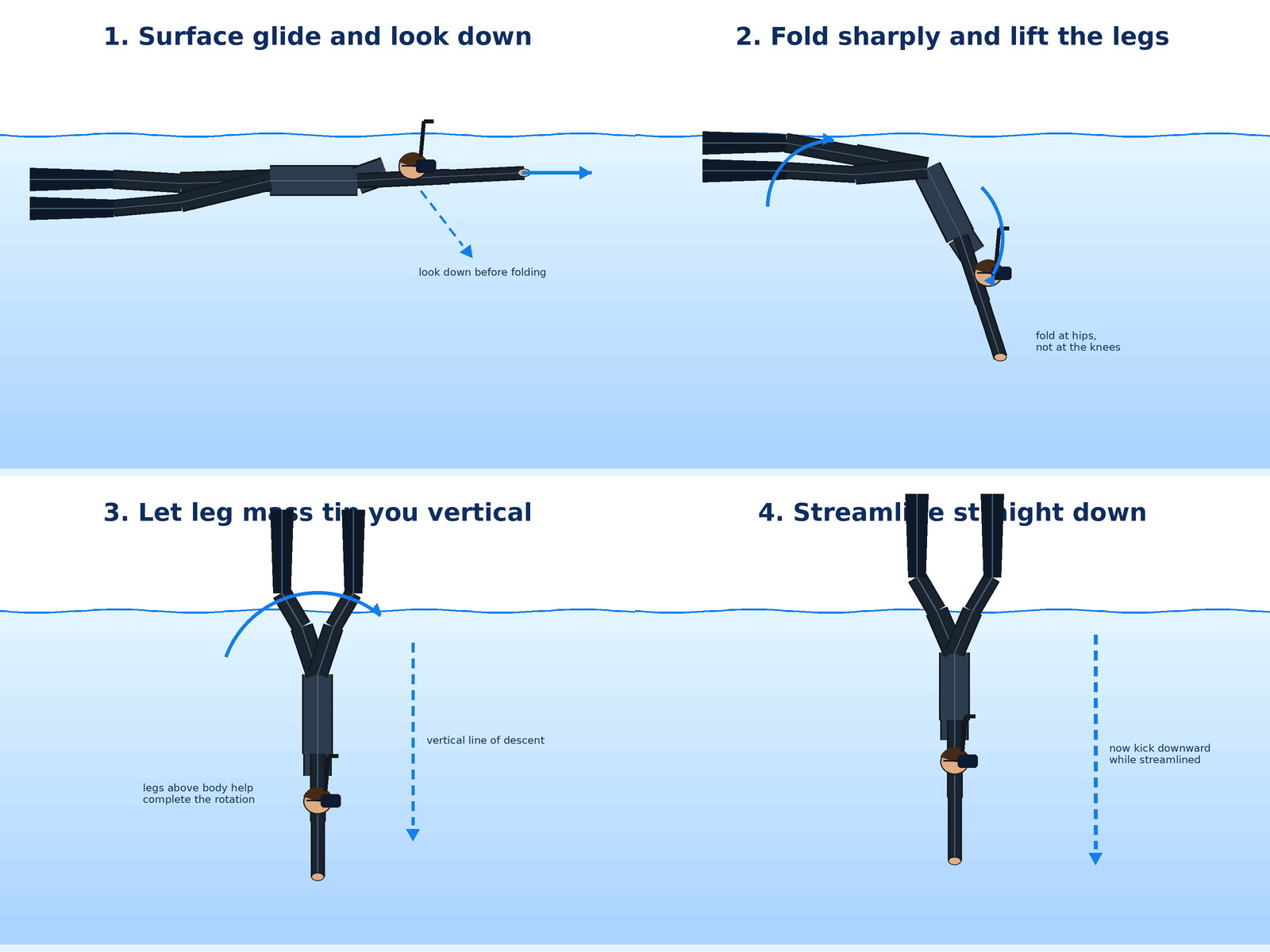 Four-panel diagram of a duck dive: (1) surface glide looking down, (2) fold sharply at the hips and lift the legs, (3) let leg mass tip the body vertical, (4) streamline straight down and kick